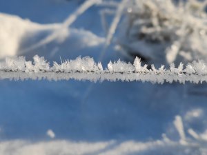 IMG_20211226_113536.jpg