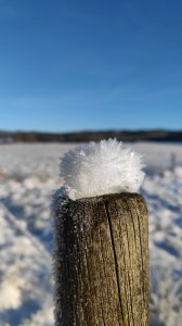IMG_20211226_114118.jpg