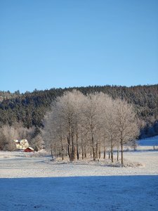 IMG_20211226_111659.jpg