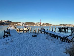 AB8254A7-27AE-463D-81DF-B1184B82F427.jpeg