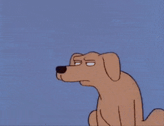 ElatedJealousAbyssiniancat-max-1mb.gif