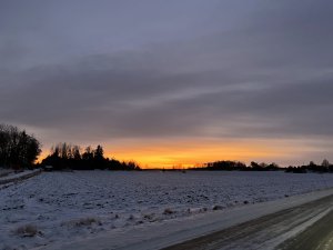 IMG_3297.jpg