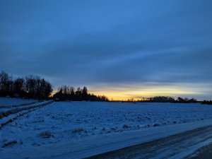 PXL_20211226_143914770.jpg