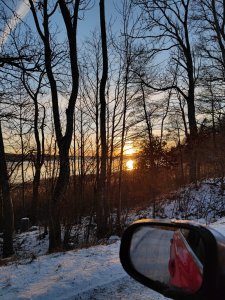 IMG_20211227_150314.jpg