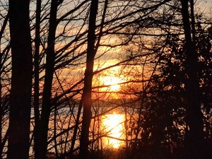 IMG_20211227_150335.jpg