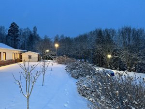 09DB66C1-F560-4778-B257-E9E73C130662_1_100_o.jpeg