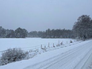 IMG_0203.jpeg