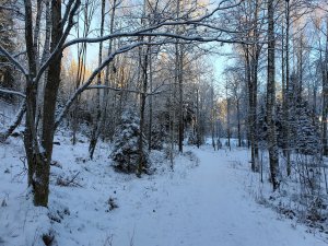 20211226_140458.jpg