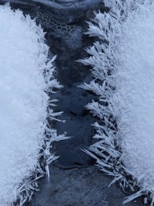 20211226_141055.jpg