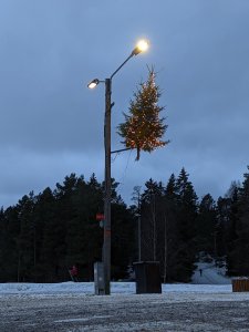 PXL_20211228_135554075.NIGHT.jpg