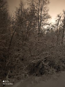 IMG_20211229_025550.jpg