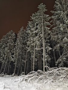 IMG_20211229_032620.jpg