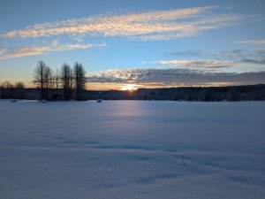 PXL_20211231_121526551.jpg