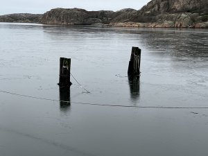 B08C1E3F-6F9A-42DB-A010-2B405842E2B5_1_100_o.jpeg