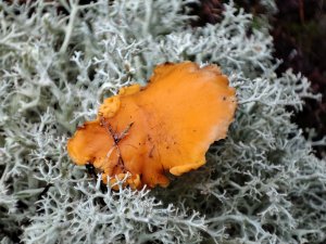 IMG_20220101_142034.jpg