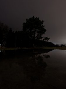 PXL_20211230_152639587.NIGHT.jpg