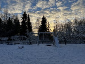 84BACC09-71CA-446E-8D56-5ADA2BC28837.jpeg