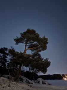 PXL_20220106_182929376.NIGHT.jpg