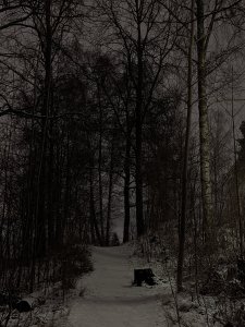 PXL_20220107_203442100.NIGHT.jpg