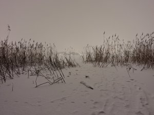 PXL_20220107_205209617.jpg