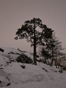 20220107_214522.jpg