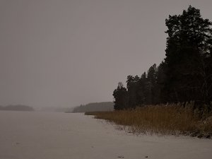 20220107_214623.jpg