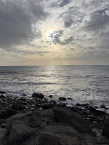 89FD223C-4D89-4385-82DC-204C5E334446.jpeg