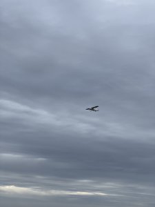 42D64348-39AB-4EBB-B9B0-F63BEAA26275.jpeg