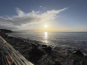 7540B1FE-FCA9-4471-A6A6-FC3F857DD2D8.jpeg