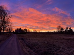 D76BFA63-E632-43DB-AB07-8E9F45B8347E.jpeg
