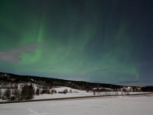 PXL_20220115_220014616.NIGHT.jpg