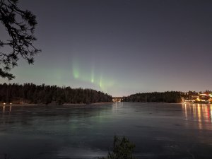PXL_20220115_215505188.NIGHT.jpg