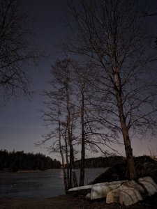 PXL_20220115_223909452.NIGHT.jpg