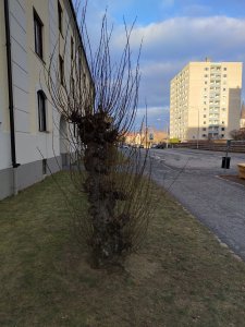IMG20220121142731.jpg