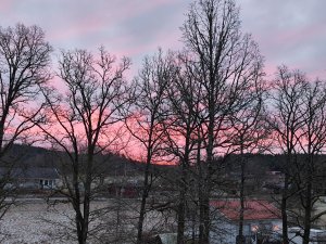 IMG_20220122_082637.jpg