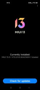 Screenshot_2022-01-22-19-15-35-192_com.android.updater.jpg