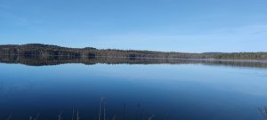 IMG_20220125_104855.jpg