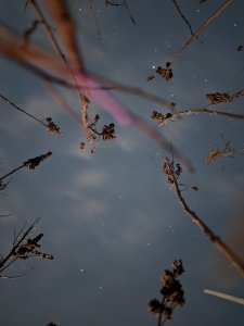PXL_20220124_204502436.NIGHT.jpg