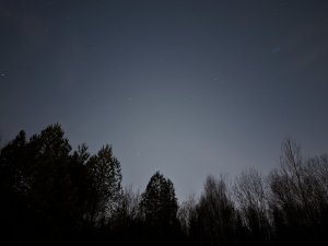PXL_20220124_205155160.NIGHT.jpg