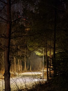 PXL_20220124_200626997.NIGHT.jpg