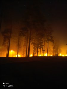 IMG_20220124_234419.jpg