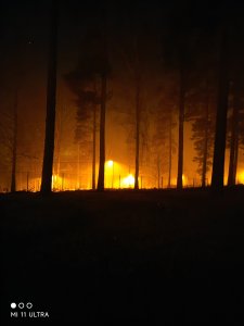 IMG_20220124_234125.jpg