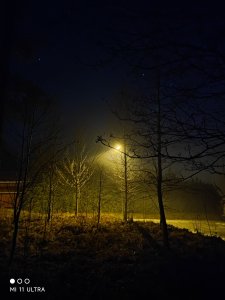 IMG_20220124_234402.jpg
