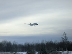 PXL_20220120_112814332.jpg