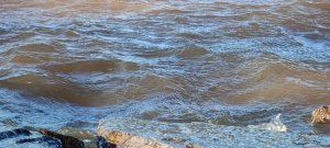 IMG_20220130_125127.jpg