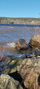 IMG_20220130_125336.jpg