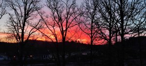 IMG_20220131_075525.jpg