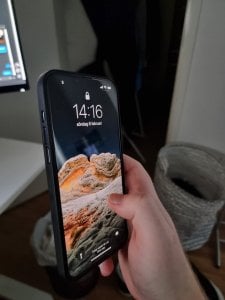 272718505_264108495848170_2813589084743662733_n.jpg