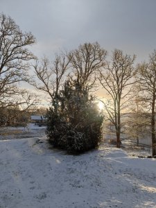 IMG_20220201_091508.jpg