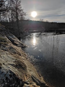 IMG_20220131_104426.jpg